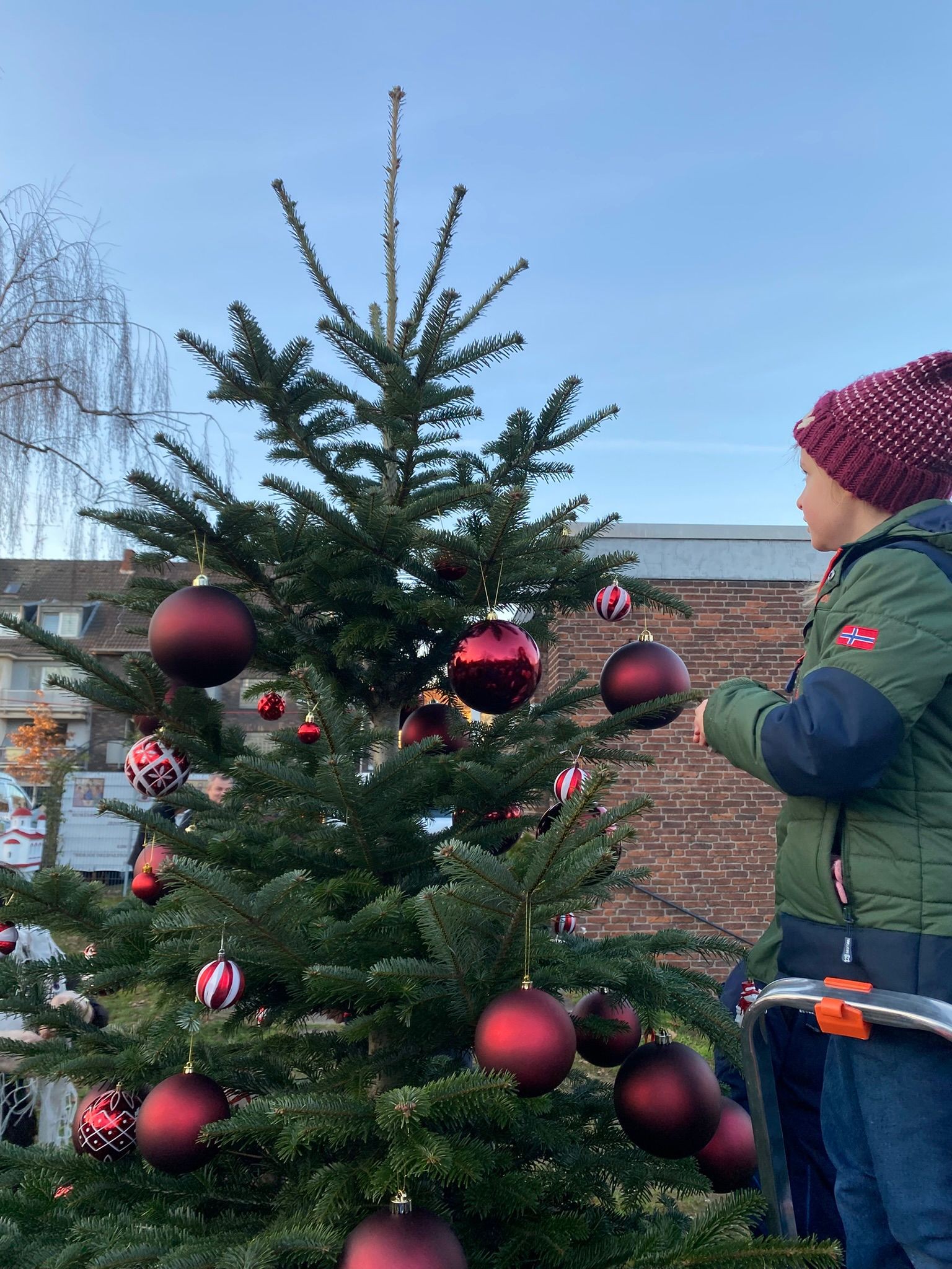 T\xe2rgul Rom\xe2nesc de Crăciun 5