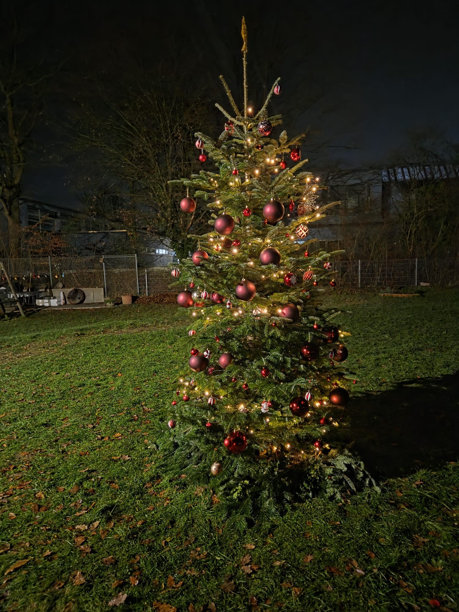 T\xe2rgul Rom\xe2nesc de Crăciun 9